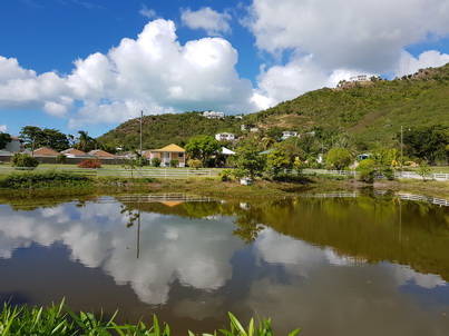 Antigua St.Johns Jeepsafari  Turner's Beach  Ananasfarm Claremont Ananas Black Ananas  accras Codfish Crabmeat Accras