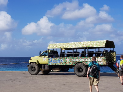   Bonaire Truckjeepsafari GMC CCkw 352 Lac Chai Bonaire Truck jeepsafari GMC Lac Chai 