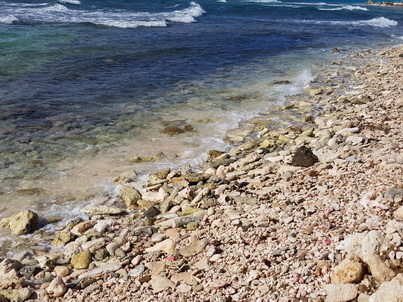   Bonaire Conch Berge MuschelbergeBonaire Bonaire Conch Berge Muschelberge