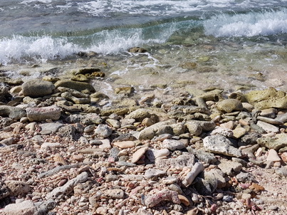   Bonaire Conch Berge MuschelbergeBonaire Bonaire Conch Berge Muschelberge