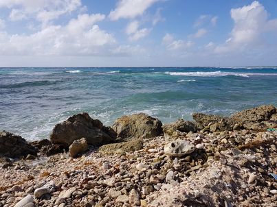   Bonaire Conch Berge MuschelbergeBonaire Bonaire Conch Berge Muschelberge