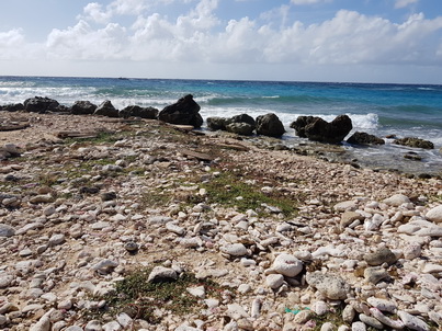   Bonaire Conch Berge MuschelbergeBonaire Bonaire Conch Berge Muschelberge