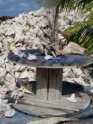   Bonaire Conch Berge MuschelbergeBonaire Bonaire Conch Berge Muschelberge