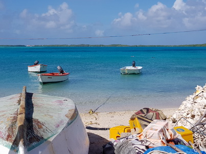   Bonaire Conch Berge MuschelbergeBonaire Bonaire Conch Berge Muschelberge