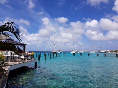   Bonaire Festungsanlage Kanonen