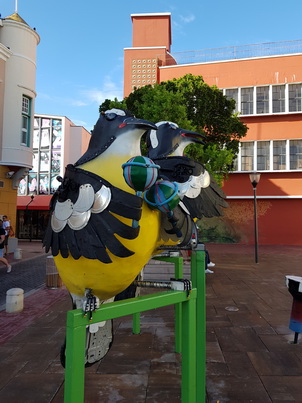   Curacao Willemstad Bananaquit Townwalk to Chobolobo Curacao  Willemstad Chobolobo Blue Curacao 