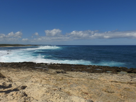 Guadeloupe Pointe des Chteaux Ostkste La Desirade 