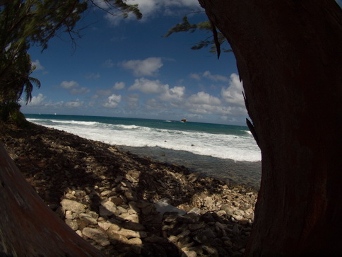  St. Lucia Fisheye Pigeon Island St. Lucia Fisheye Pigeon Island  