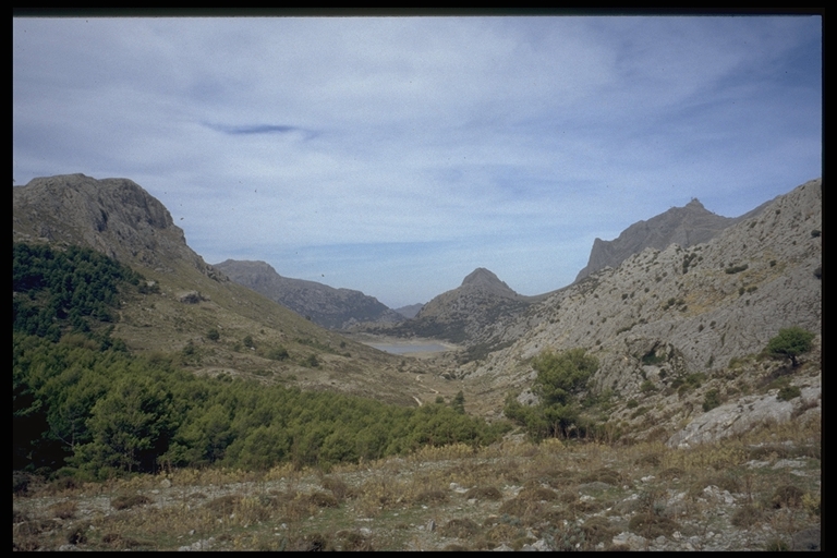 Wanderung Mallorca wandern Finca Oliven Fincawandern Mallorca Fincawandern 