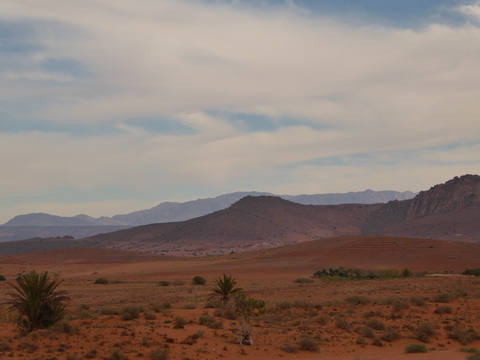  Marokko Agadir Rasbouka Duenen Atlasgebirge (2531 m) im Südwesten Marokkos Antiatlas