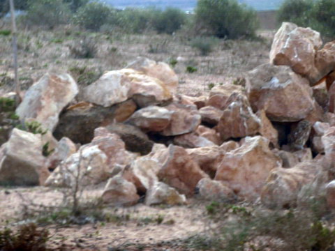  Marokko Agadir souss massa national park  