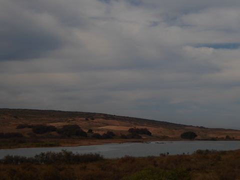  Marokko Agadir souss massa national park Tifnit 