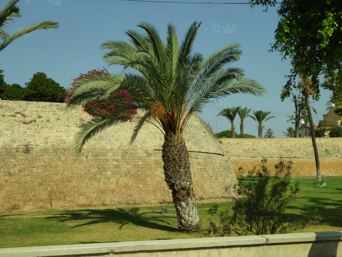   Zypern NIkosia Griechenland Zypern NIkosia Griechenland 