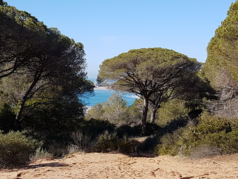   La Brena Wanderung  Spanien Cadiz Atlantic La Brena Wanderung 