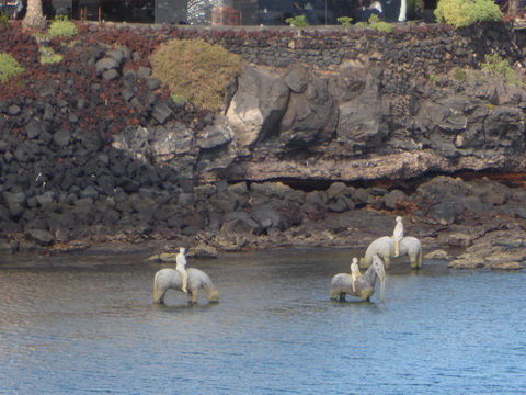 Museo Antlantic  Unterwassermuseum    www.cactlanzarote.com 230 Skulpturen vor Lanzarote Jason de Caires Taylor 