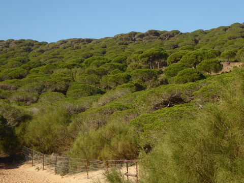   La Brena Wanderung  Spanien Cadiz Atlantic La Brena Wanderung 