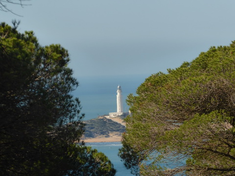   Spanien Cadiz Atlantic  Kap Trafalgar El Faro La Brena Wanderung  Kap Trafalgar El Faro 