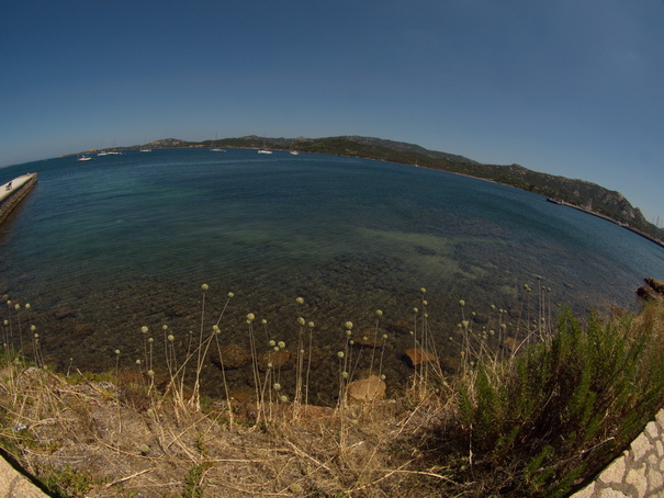 Olbia Sardinien capo d'orso bärenfelsen