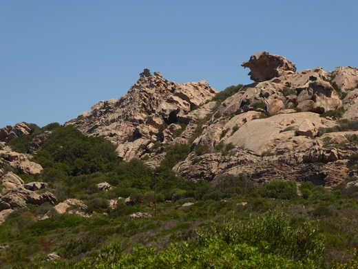   Olbia Sardinien capo d'orso bärenfelsenOlbia Sardinien capo d'orso bärenfelsen