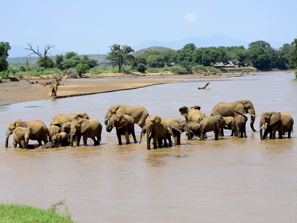 https://www.rauschenbach.de/Kenia/samburu.htm