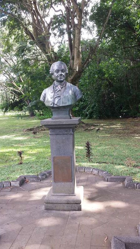 Mauritius Botanischer Garten  Sir Seewoosagur Ramgoolam Botanical Garden Pampelmousse