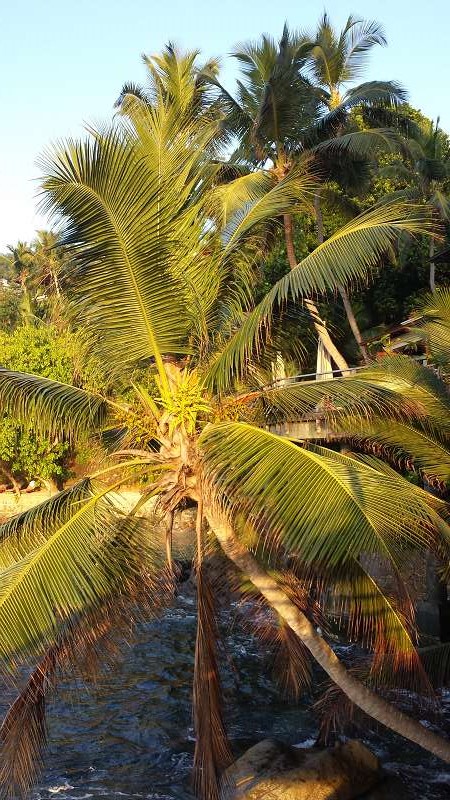 Hilton Northolme Seychelles Beach 