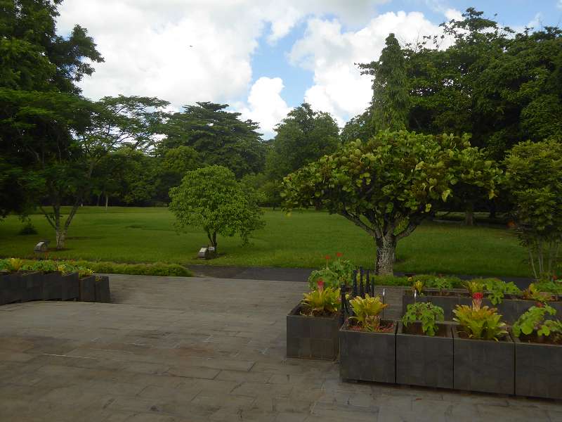   Mauritius Botanischer Garten Lotusblüte Seewoosagur Ramgoolam Botanical Garden PampelmouMauritius Botanischer Garten Lotusblüte Seewoosagur Ramgoolam Botanical Garden Pampelmou